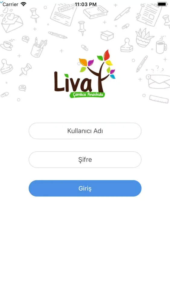 Liva Anaokulu. Ekran Görüntüleri